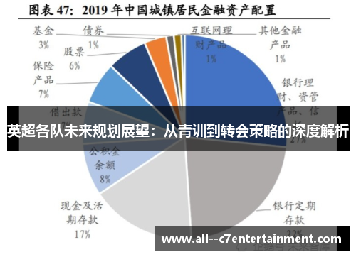 英超各队未来规划展望：从青训到转会策略的深度解析