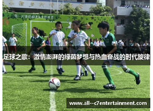 足球之歌：激情澎湃的绿茵梦想与热血奋战的时代旋律