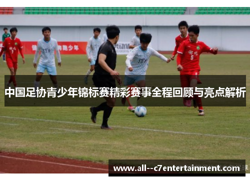 中国足协青少年锦标赛精彩赛事全程回顾与亮点解析