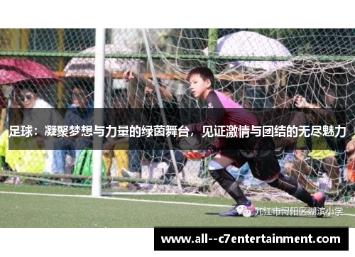 足球：凝聚梦想与力量的绿茵舞台，见证激情与团结的无尽魅力